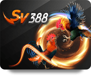 How to Maximize Your Winnings with JUN88 Top Bet